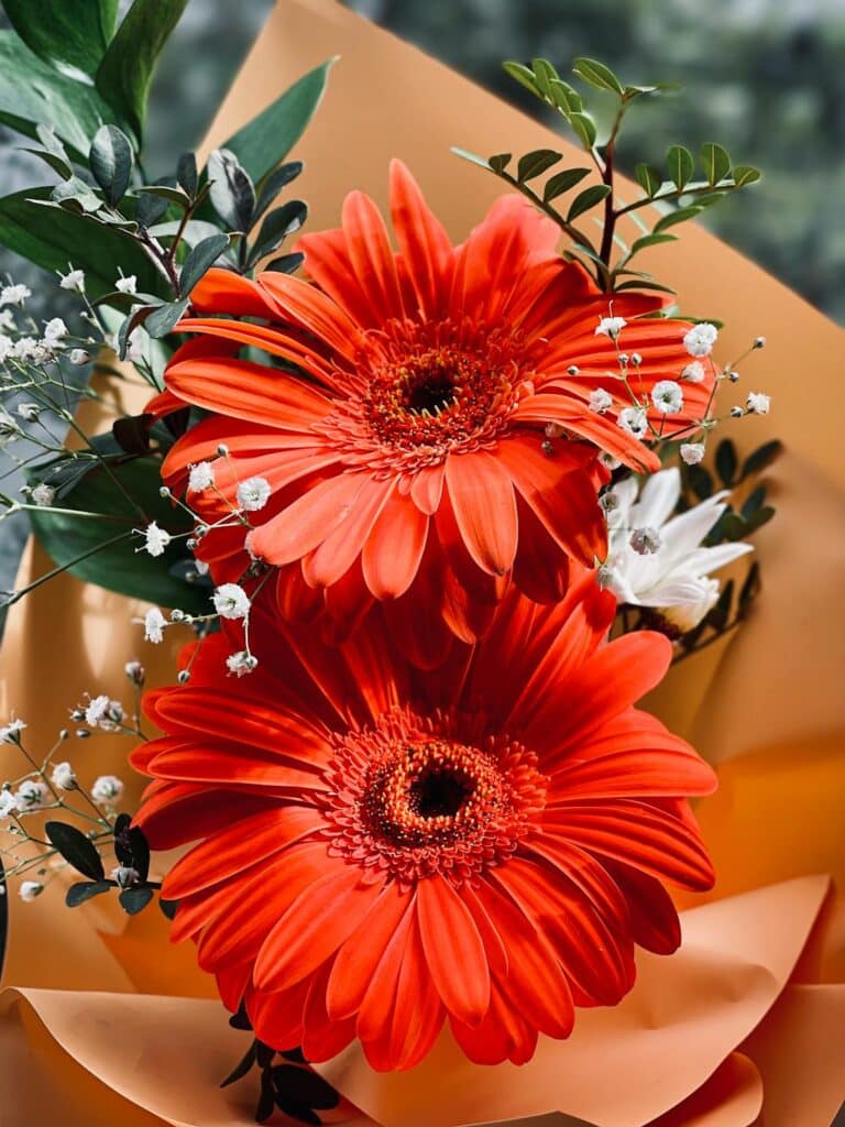 free photo of vibrant spring bouquet with red gerbera daisies